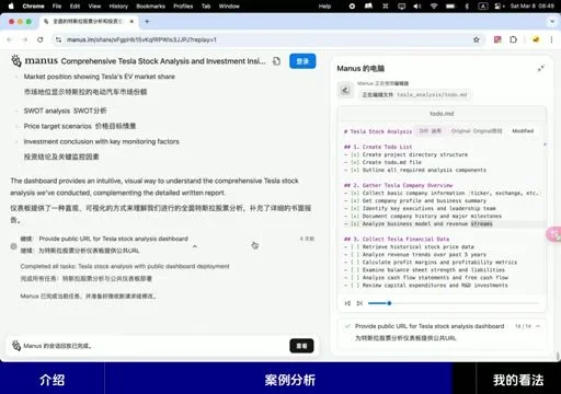 Manus 最终生成的分析报表网页
